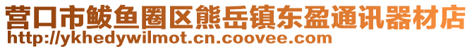 營口市鲅魚圈區(qū)熊岳鎮(zhèn)東盈通訊器材店