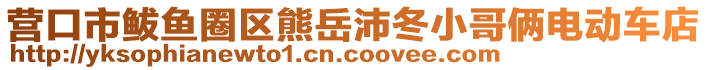 營(yíng)口市鲅魚(yú)圈區(qū)熊岳沛冬小哥倆電動(dòng)車(chē)店