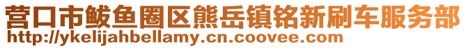 營口市鲅魚圈區熊岳鎮銘新刷車服務部