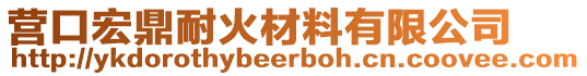 營(yíng)口宏鼎耐火材料有限公司