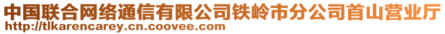 中國聯(lián)合網(wǎng)絡(luò)通信有限公司鐵嶺市分公司首山營業(yè)廳