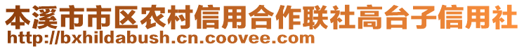本溪市市區(qū)農(nóng)村信用合作聯(lián)社高臺子信用社