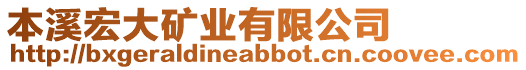 本溪宏大礦業(yè)有限公司