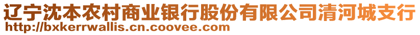 遼寧沈本農(nóng)村商業(yè)銀行股份有限公司清河城支行