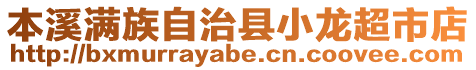 本溪滿族自治縣小龍超市店