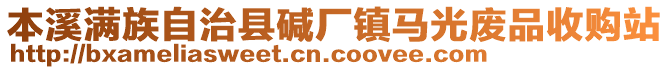 本溪滿族自治縣堿廠鎮(zhèn)馬光廢品收購(gòu)站