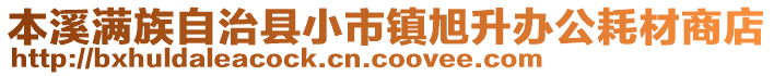 本溪滿族自治縣小市鎮(zhèn)旭升辦公耗材商店