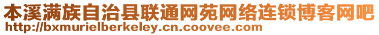 本溪滿族自治縣聯(lián)通網(wǎng)苑網(wǎng)絡(luò)連鎖博客網(wǎng)吧