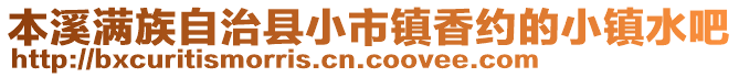 本溪滿族自治縣小市鎮(zhèn)香約的小鎮(zhèn)水吧