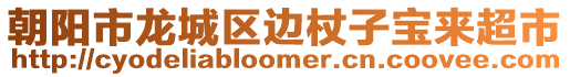 朝陽市龍城區(qū)邊杖子寶來超市