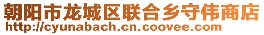 朝阳市龙城区联合乡守伟商店