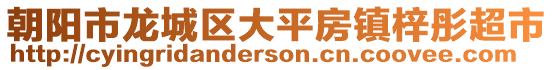 朝阳市龙城区大平房镇梓彤超市