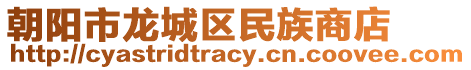 朝陽市龍城區(qū)民族商店