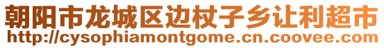 朝陽市龍城區邊杖子鄉讓利超市