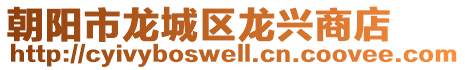 朝阳市龙城区龙兴商店