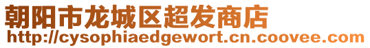 朝陽(yáng)市龍城區(qū)超發(fā)商店