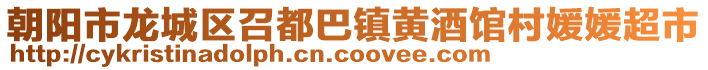 朝阳市龙城区召都巴镇黄酒馆村媛媛超市