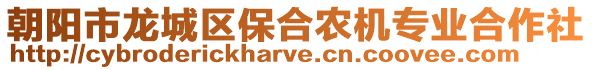 朝陽市龍城區(qū)保合農(nóng)機(jī)專業(yè)合作社