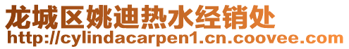 龍城區(qū)姚迪熱水經(jīng)銷處