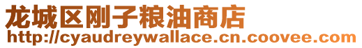 龍城區剛子糧油商店