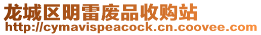 龍城區明雷廢品收購站