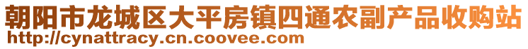 朝陽(yáng)市龍城區(qū)大平房鎮(zhèn)四通農(nóng)副產(chǎn)品收購(gòu)站