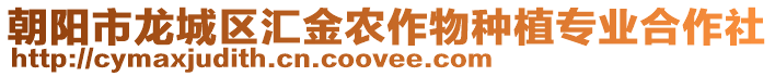 朝陽市龍城區匯金農作物種植專業合作社