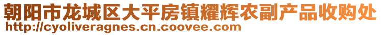 朝陽市龍城區大平房鎮耀輝農副產品收購處