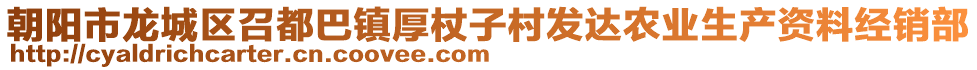 朝陽市龍城區(qū)召都巴鎮(zhèn)厚杖子村發(fā)達(dá)農(nóng)業(yè)生產(chǎn)資料經(jīng)銷部