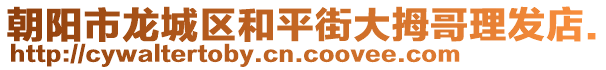 朝陽市龍城區和平街大拇哥理發店.
