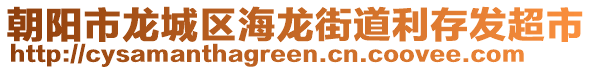 朝陽市龍城區海龍街道利存發超市