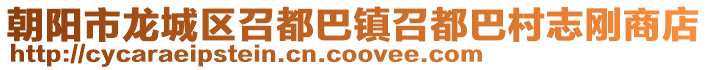 朝陽市龍城區召都巴鎮召都巴村志剛商店