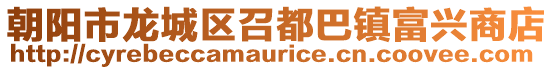 朝陽市龍城區(qū)召都巴鎮(zhèn)富興商店
