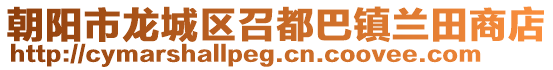朝陽市龍城區(qū)召都巴鎮(zhèn)蘭田商店