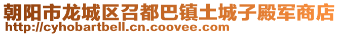 朝陽市龍城區召都巴鎮土城子殿軍商店