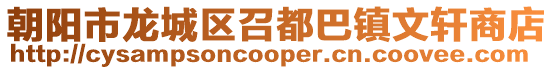朝陽市龍城區召都巴鎮文軒商店