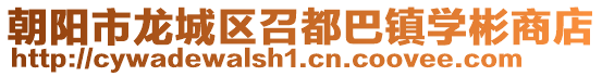朝陽市龍城區(qū)召都巴鎮(zhèn)學彬商店