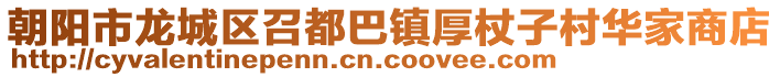 朝陽市龍城區(qū)召都巴鎮(zhèn)厚杖子村華家商店