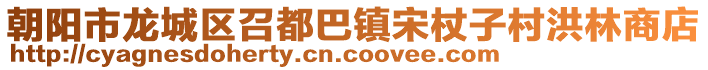 朝陽(yáng)市龍城區(qū)召都巴鎮(zhèn)宋杖子村洪林商店