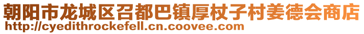 朝陽市龍城區(qū)召都巴鎮(zhèn)厚杖子村姜德會(huì)商店