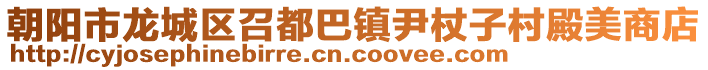 朝陽市龍城區(qū)召都巴鎮(zhèn)尹杖子村殿美商店
