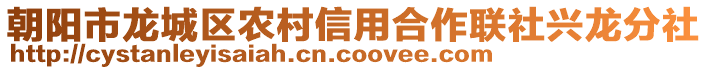 朝陽市龍城區農村信用合作聯社興龍分社