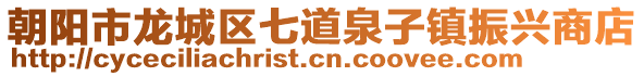 朝陽市龍城區七道泉子鎮振興商店