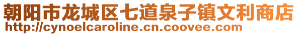 朝陽市龍城區七道泉子鎮文利商店