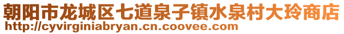 朝陽市龍城區七道泉子鎮水泉村大玲商店
