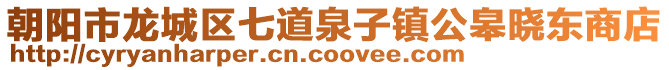 朝陽市龍城區七道泉子鎮公皋曉東商店