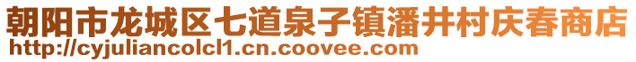 朝陽(yáng)市龍城區(qū)七道泉子鎮(zhèn)潘井村慶春商店