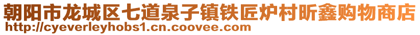 朝陽市龍城區(qū)七道泉子鎮(zhèn)鐵匠爐村昕鑫購物商店