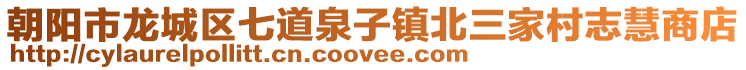朝陽市龍城區(qū)七道泉子鎮(zhèn)北三家村志慧商店