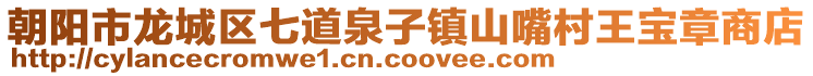 朝陽市龍城區七道泉子鎮山嘴村王寶章商店